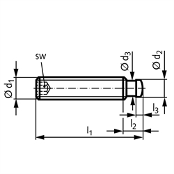 Gewindestift DIN 6332 mit Druckzapfen mit Innensechskant Gewinde M20 Gesamtlänge 100mm rostfreier Stahl, Technische Zeichnung